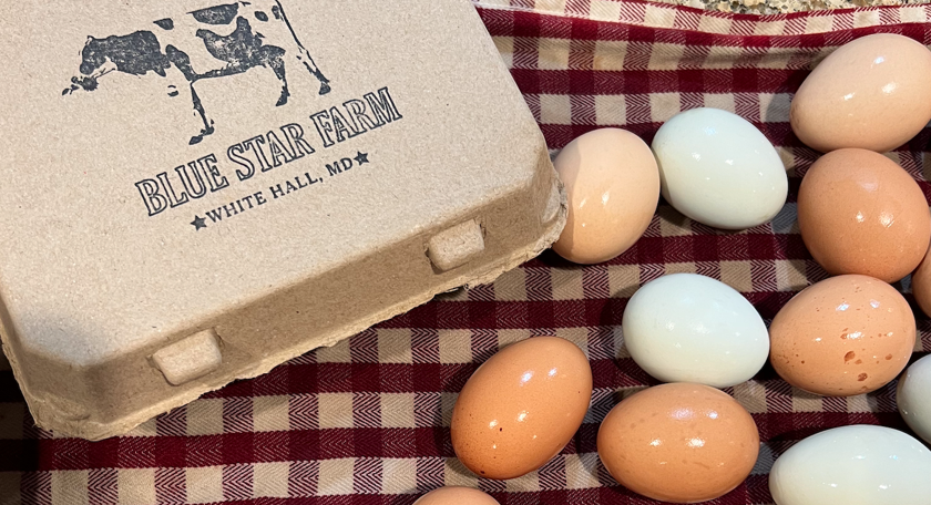 shiny fresh eggs, assortment of colors, next to a carton with an image of a cow and "Blue Star Farm - White Hall, MD" on it, all on a red checkered table cloth